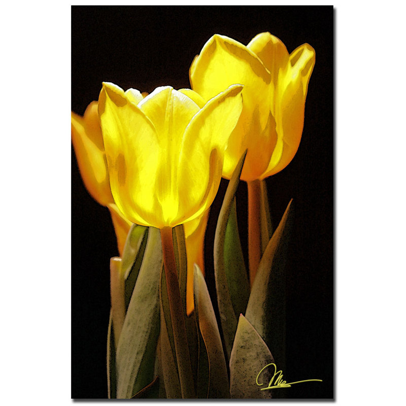 « yellow tulipes ii » par martha guerra, reproduction d’art sur toile