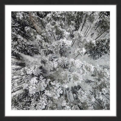 Karolis Janulis - Single Picture Frame Print