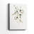 Leafy Botanical I -Gallery Wrapped Cavas-436246036