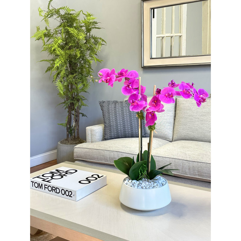 Orchids In A White Container With Rocks