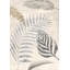 Palm Leaves Silver I by Eve C. Grant - Wrapped Canvas Art Prints-304060460