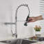 Belfry Kitchen Valdez Pull Out Kitchen Faucet