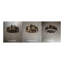 Tall Pines Downrod Ceiling Fan