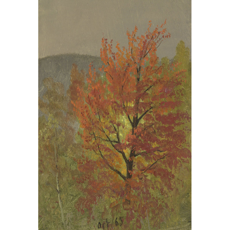 Tatiyonna Autumn Tree Studies III by Church - Wrapped Canvas Print, 46 cm H x 30 cm W