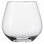 Forte Tritan 20 oz. Stemless Drinking Glass
