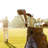 100% Viscose Golf Towel, Quality Golf Towel