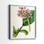 AntiqueFloralFolio III - reproduction encadrée de qualité supérieure - prête à être accrochée - aucun clou requis - aucun clou requis-488776893-488776835