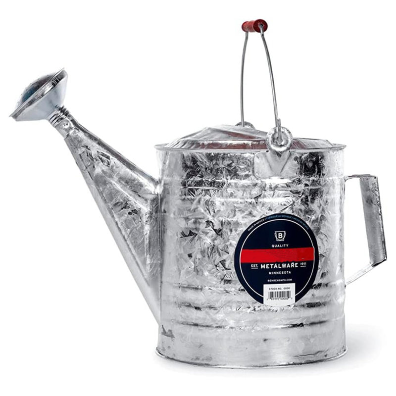 Vintage Galvanized Steel Watering Can with Wooden Handle