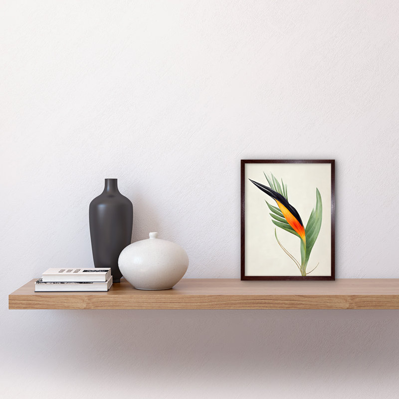 Tropical Bird Of Paradise Flower - Print, Brown Framed Paper, 25.9cm H x 20.6cm W x 1.5cm D