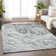 Premium Machine Washable Prisco Gray Rug