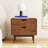 Indra 22" H 2-Drawer Wood Nightstand-2037666226