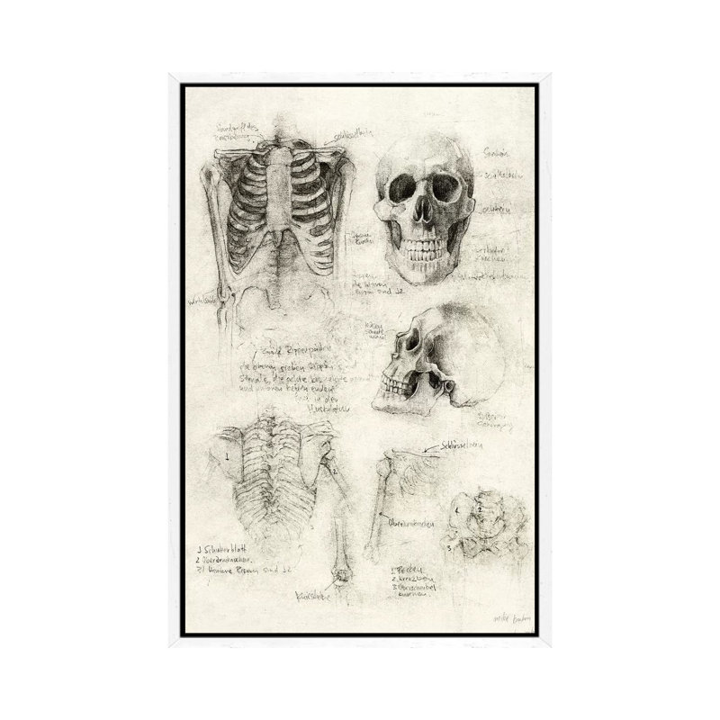 Skeleton by Mike Koubou - Print on Canvas, 66.04cm H x 45.72cm W x 3.81cm D, White Framed