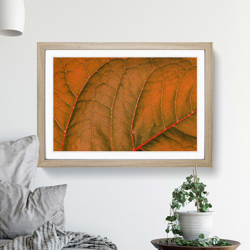 Leaf Veins - Picture Frame Photograph Print, 48cm H x 65cm W x 2cm D, Oak Framed