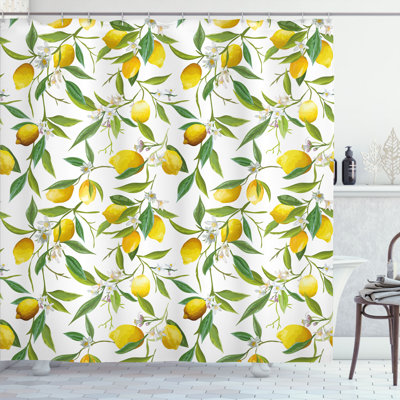 Shower Curtain with Hooks Included