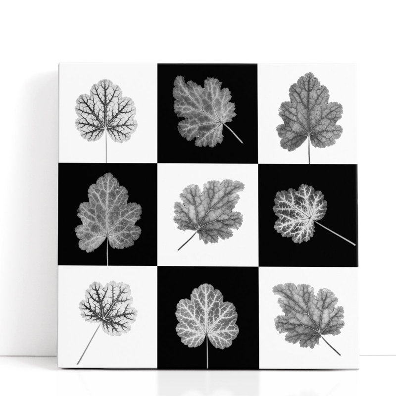 «Heuchera Leaf Collage», reproduction d'art sur toile, H 24 po x l 24 po