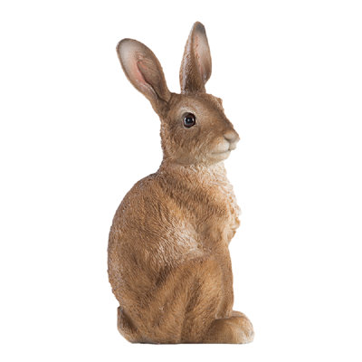 Lombardi Hare Sitting