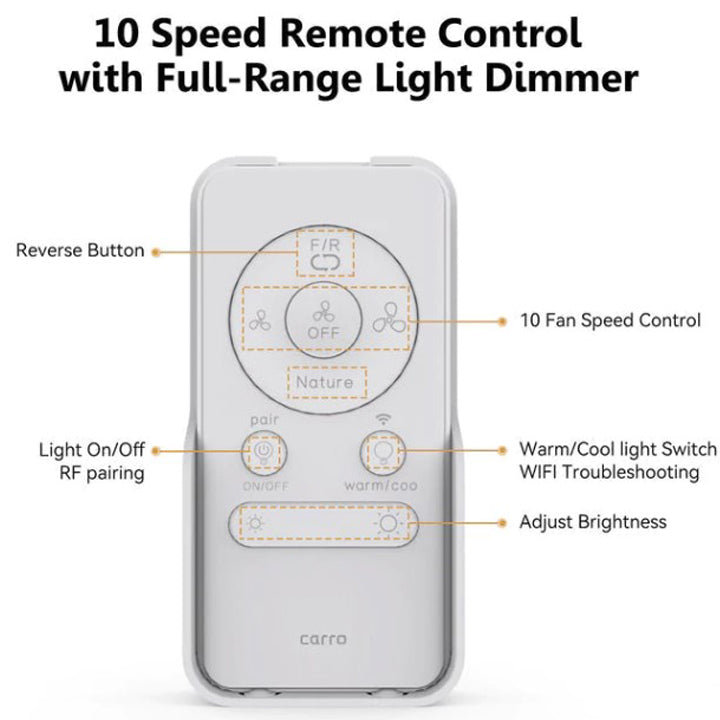 Ryna Smart Ceiling Fan with Remote, Light Kit Included,Works with Google Assistant and Amazon Alexa,Siri Shortcut.
