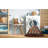 Clemontine Oriental Indoor Rug-190264073