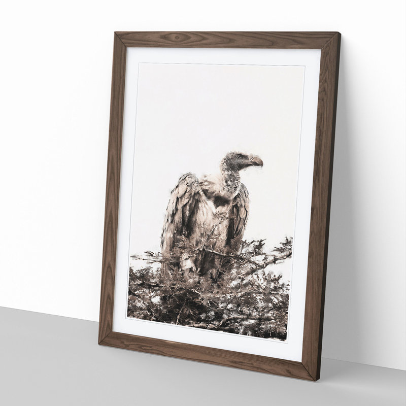 Vulture Vol.1 Painting - Picture Frame Graphic Art, Walnut, 65cm H x 48cm W x 2cm D