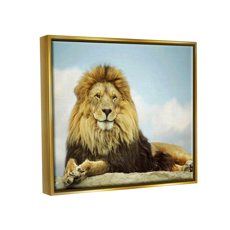 «Savanna Lion», photographie par estampe numérique par Carrie Ann Grippo-Pike, H 25 po x l 31 po x P 1,7 po
