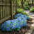 Blue 12 bundles
