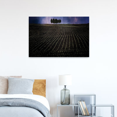 fields in early spring 1 Piece Wrapped Canvas Wall Art