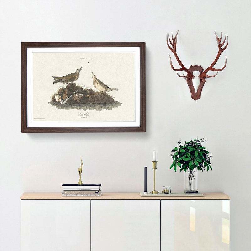 Brown Larks by John James Audubon - Framed Print, Walnut Framed, 36cm H x 48cm W x 2cm D