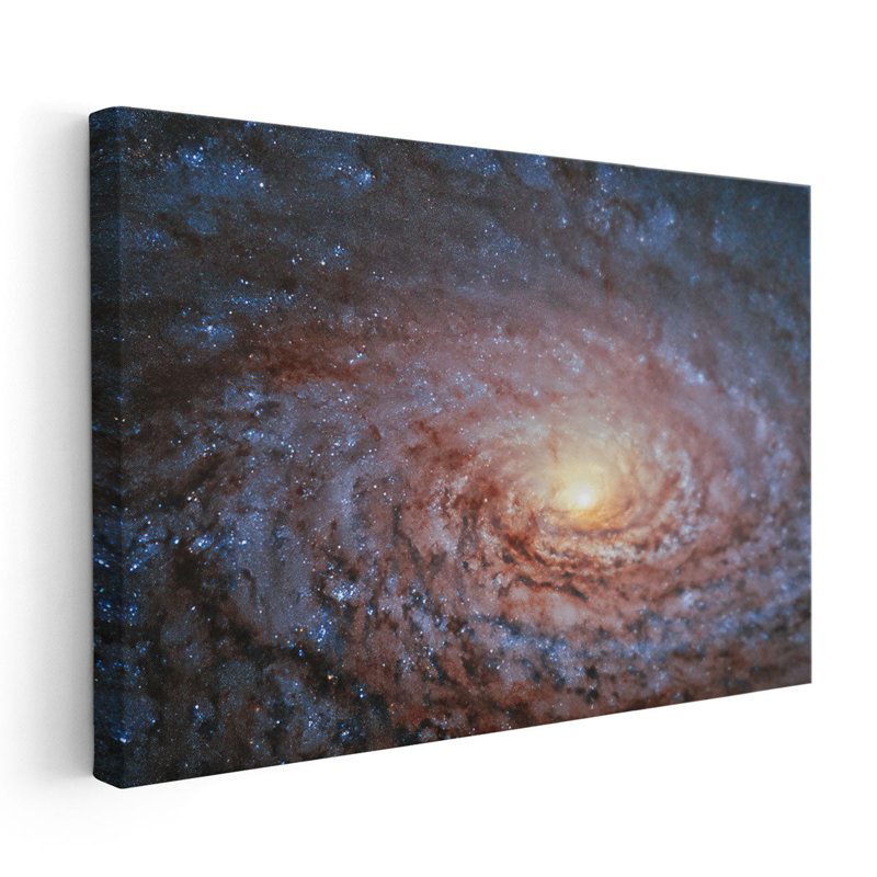 Galactic Sunflower - reproduction d'art sur toile, H 40 po x l 60 po
