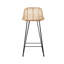 Broomall Counter Stool with Metal Frame