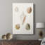 Pastel Knorr Shells - Pasta-700627073