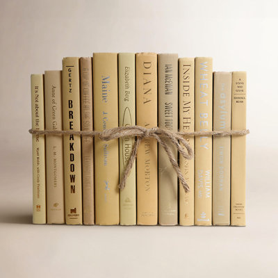 Serefina Decorative Book Set