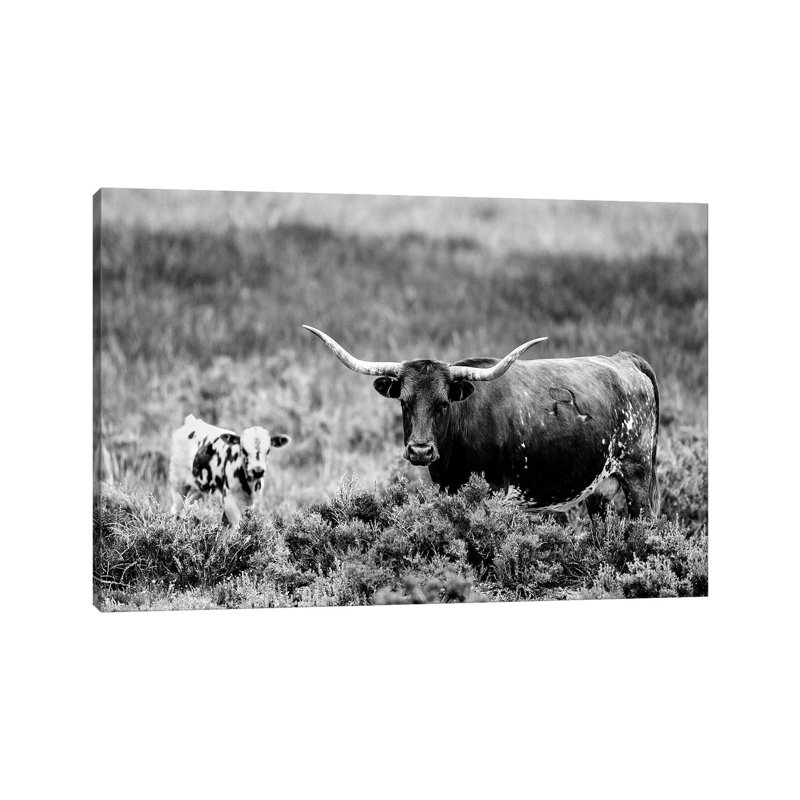 B&W Longhorn II by Tyler Stockton - Wrapped Canvas Print, 66.04 cm H x 45.72 cm W x 1.91 cm D