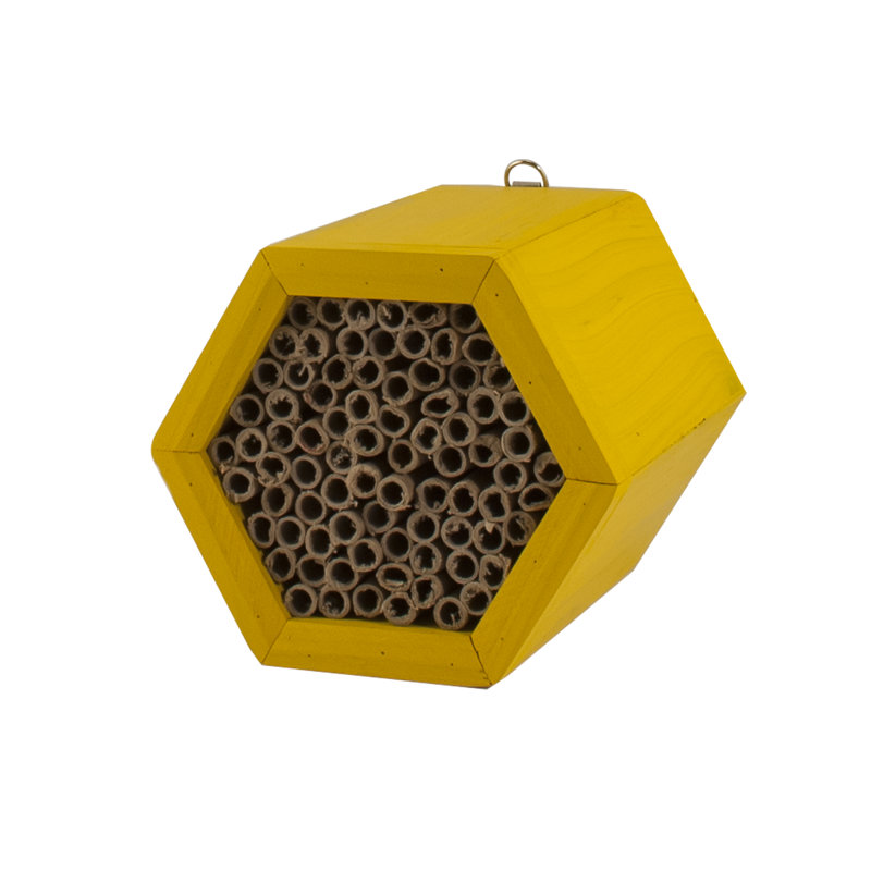 Beekeeping Beehive Accessory