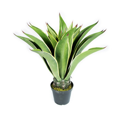 25 cm H Faux Snake Plant in Plastic Pot