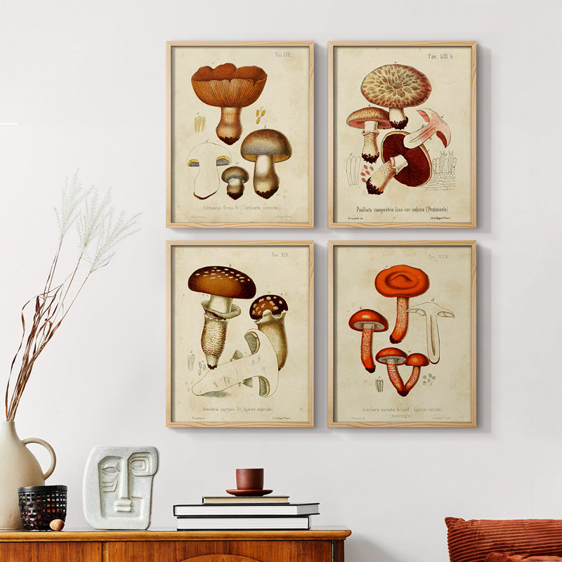 «Mushroom Variétés I», ensemble de 4 encadrées, H 14 po x l 44 po, Naturel