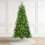 Sapin de Noël mince Aldred-1695876777