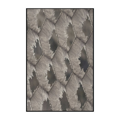 Indoor Rug