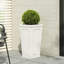 MGO PLANT