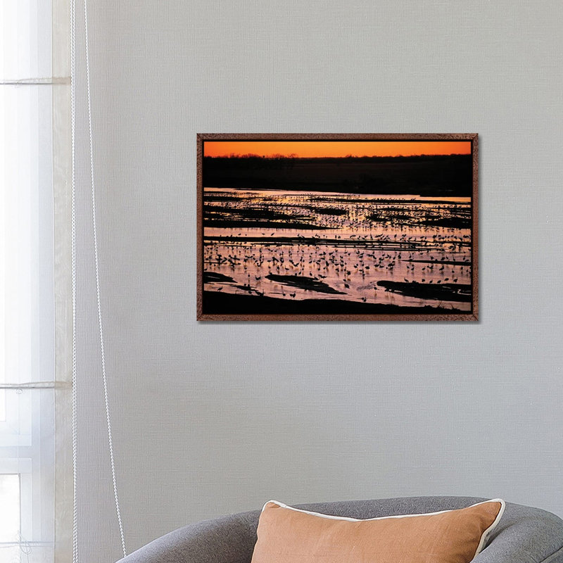 Sandhill Cranes Roost Along The Platte River Near Kearney, Nebraska 1 Piece Wall Art on Canvas, 66.04 cm H x 45.72 cm W