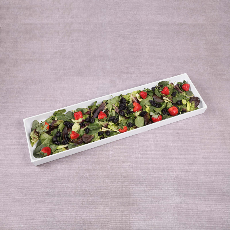 Plastic Pan Insert, White