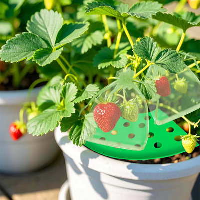 8pcs Green Strawberry Plant Growing Racks With 20pcs Reusable Insect-proof Mesh Bags, Plastic Strawberry Support Frame, Plant Protector For Garden Balcony Fruit Growing