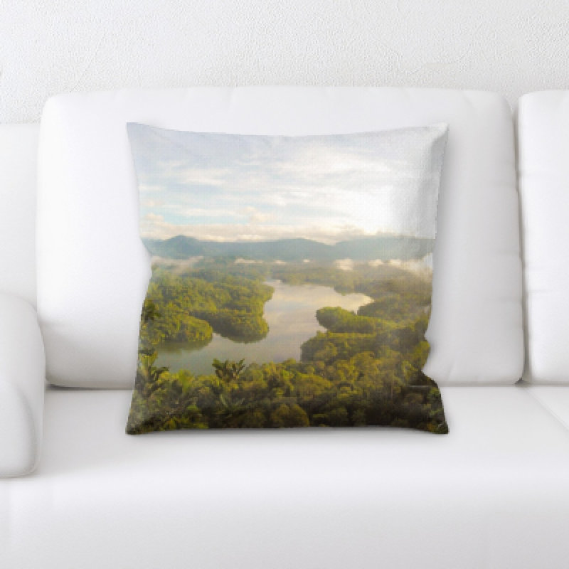 Microsuede Throw Pillow