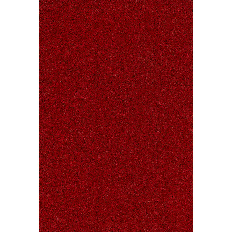 Tapis d'intérieur / extérieur Kalonni, L 24 po x L 48 po, Rouge