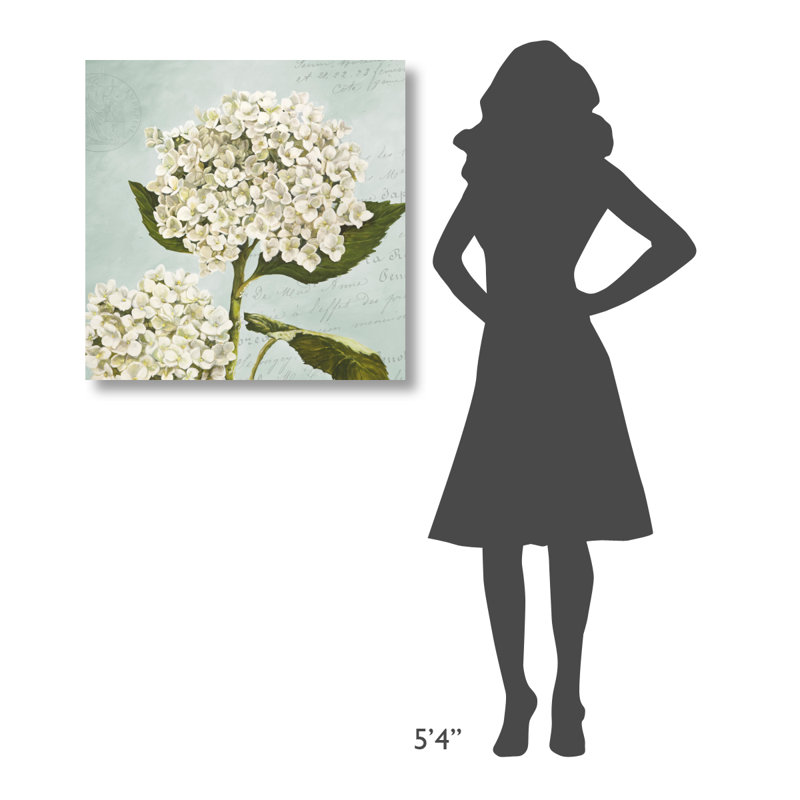 " Hydrangeas II ", 36" H x 36" W x 1.5" D