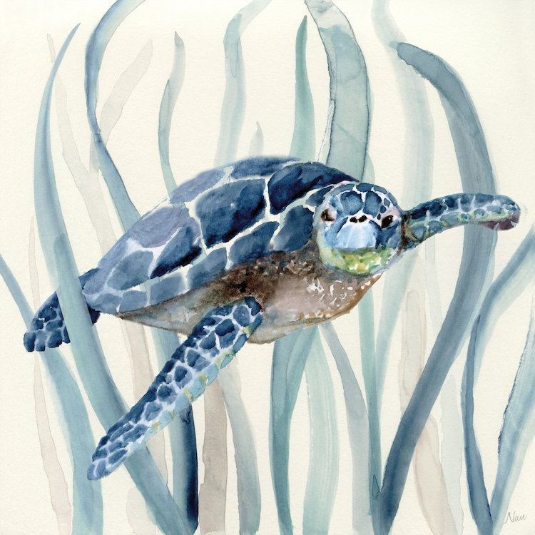 «Turtle in Seagrass I», reproduction sur toile, H 26 po x l 26 po x p 1,5 po, Pas de tapis, Toile tendue