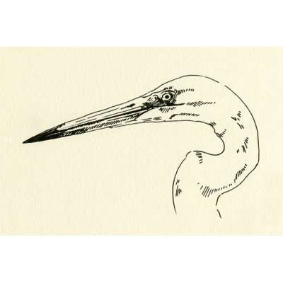 Heron Head II by Emma Caroline - Print on Canvas