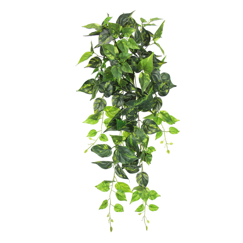Plante artificielle suspendue lierre Pothos, H 32 po x l 12 po x P 6 po