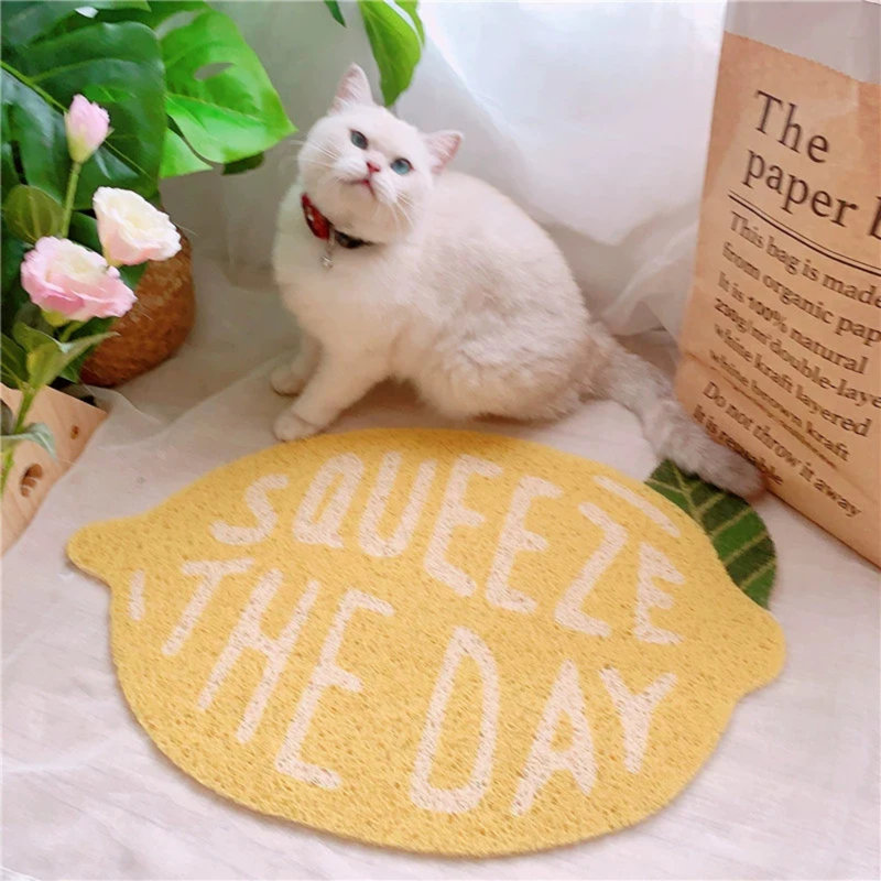  Tapis de litière pour chat Fruit Series, imperméable, doux pour chat, 24 po x 16 po
