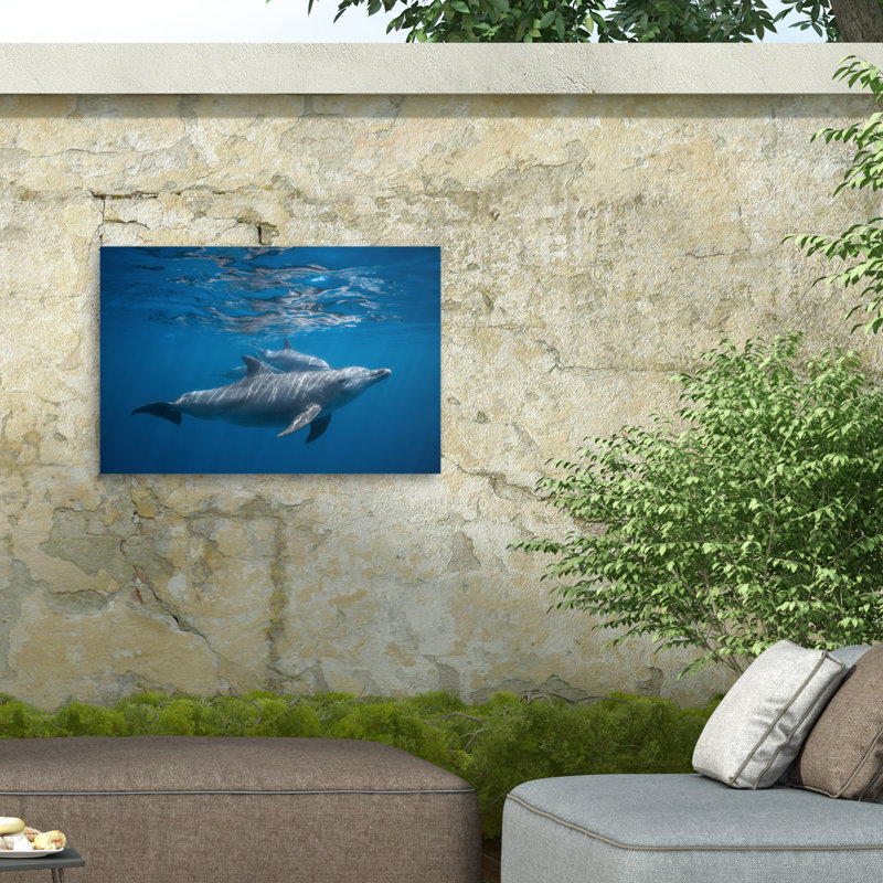 «Pod of Dolphin On Canvas» par Barathieu Gabriel, reproduction, H 30 po x l 47 po