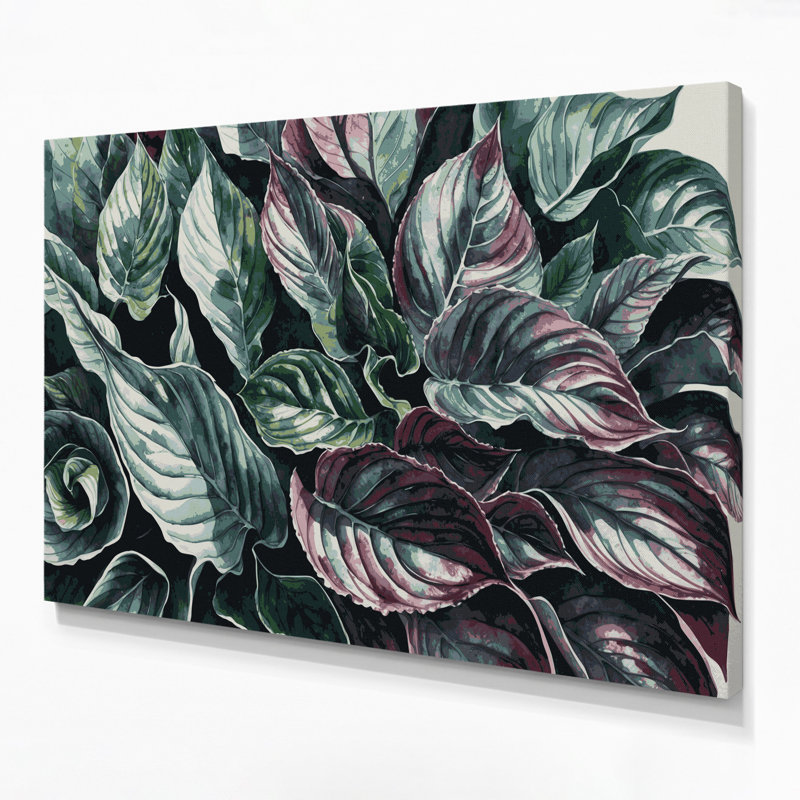 Art botanique sur toile noir Bégonia Rex, H 11 po x l 14 po